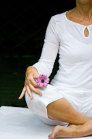 Beauty and Lifestyle collection